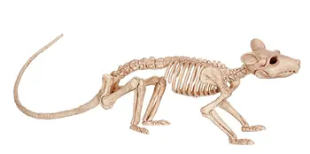 Fantázia Csont Csontváz - Patkány Csont Haza Halloween Party Dekoráció