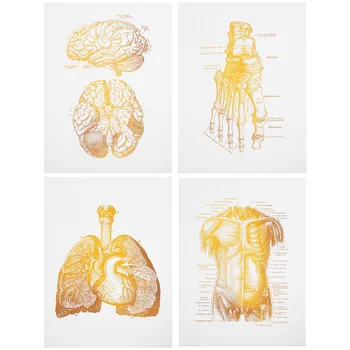 6 Db Anatómiai Plakátok Dekor, Fali Vászon a Kórházi Nővér Office Picture Festmények