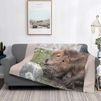 Capybaras Rajzfilm Aranyos Állat Bársony Takaró Nyári Lélegző, Könnyű, Vékony Dobja Takaró az Ágy Kerti Ágytakaró